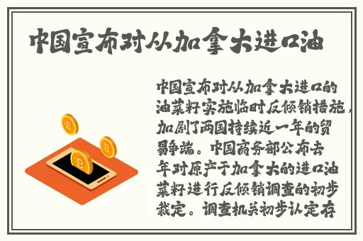 顶级大但人文艺术视频